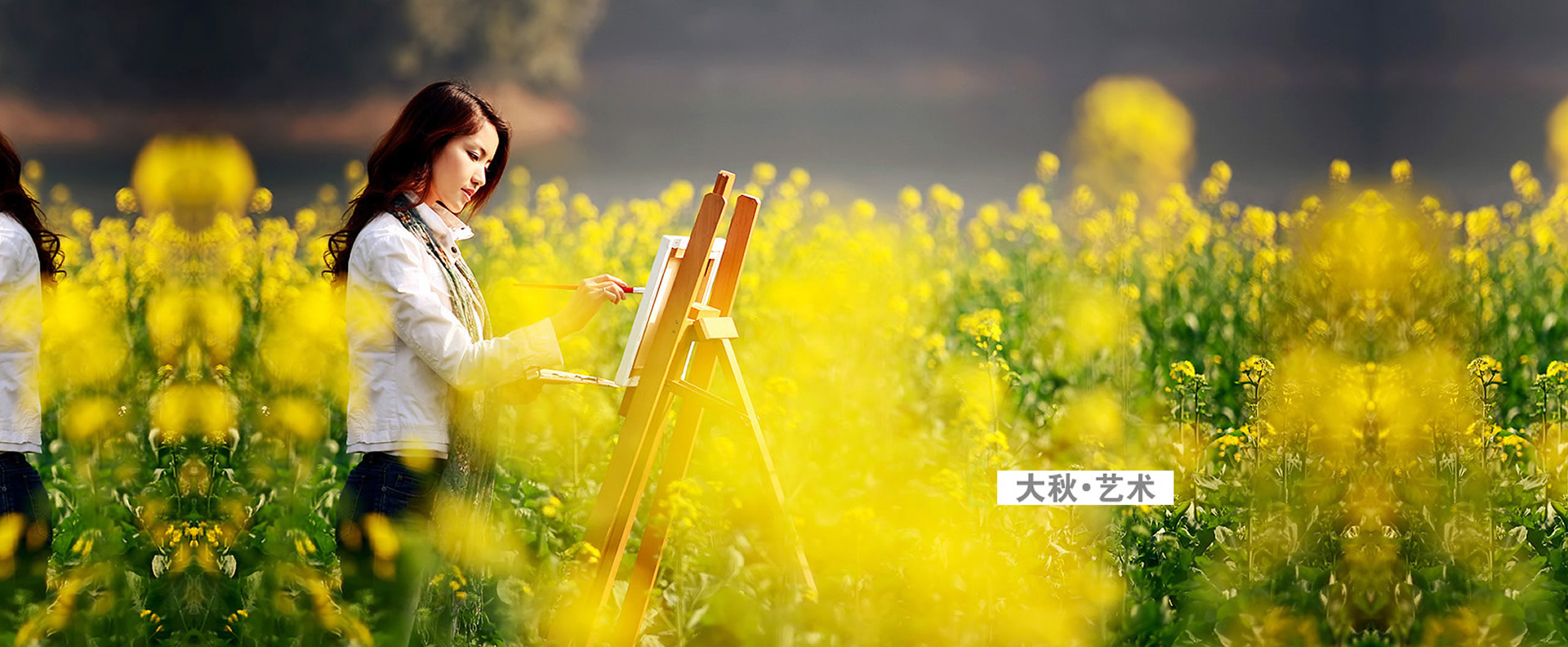 �Ͼ���������