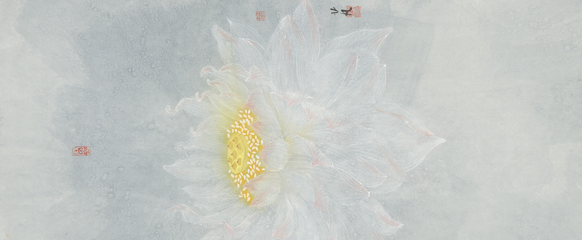 �Ͼ���������